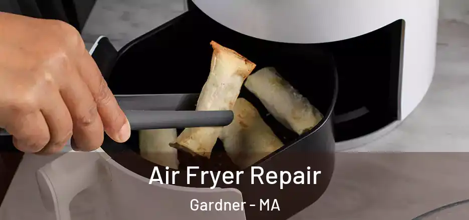 Air Fryer Repair Gardner - MA