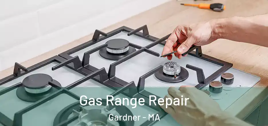  Gas Range Repair Gardner - MA