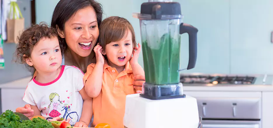 Juicer and Mixer Blender Repair in Gardner 